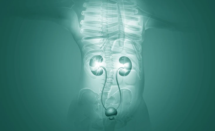 Ürogenital Kanserler