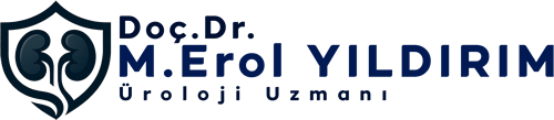 Doç. Dr. M. Erol YILDIRIM